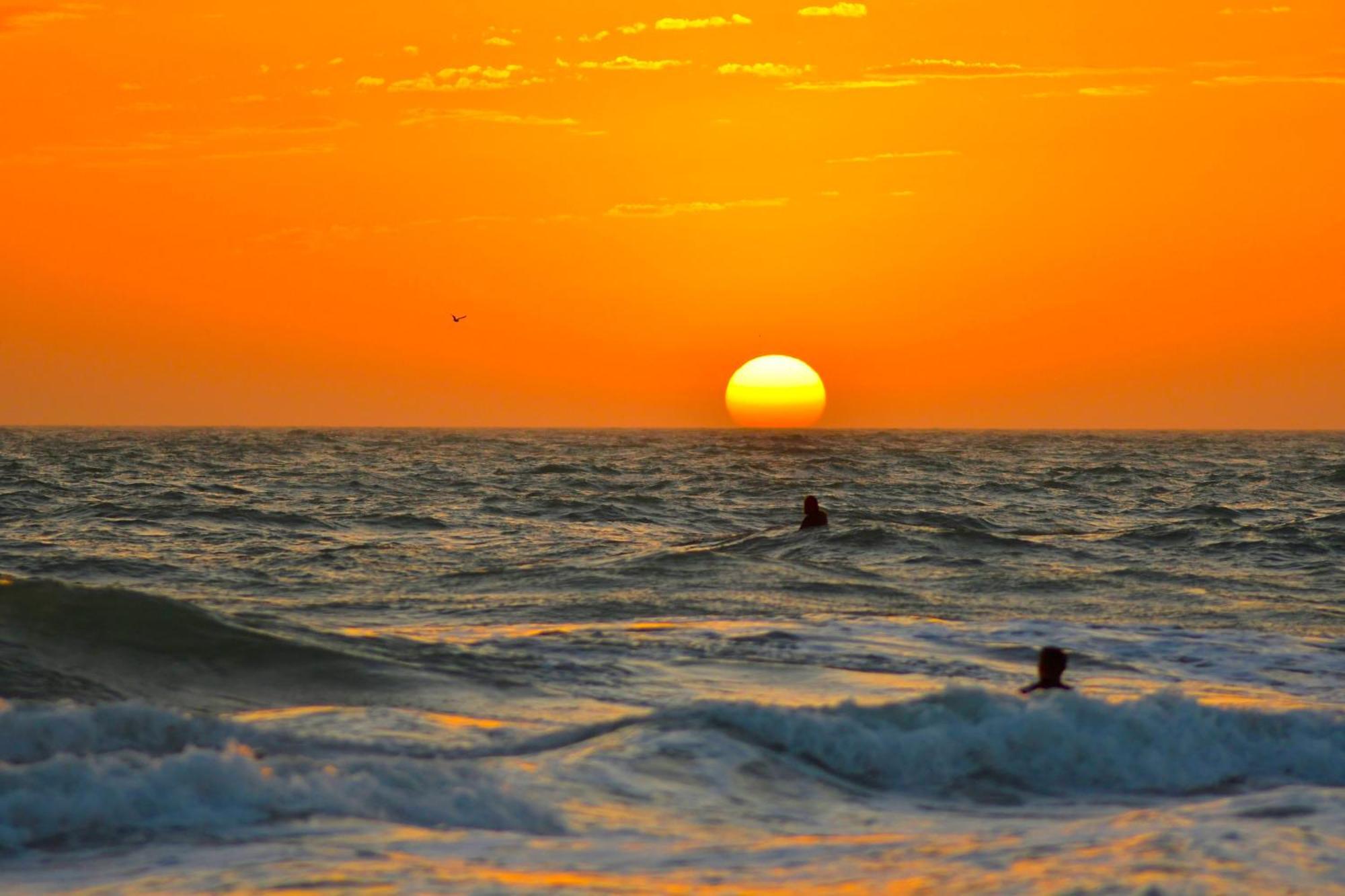 Anna Maria Island Beach Palms 2B Bradenton Beach Luaran gambar